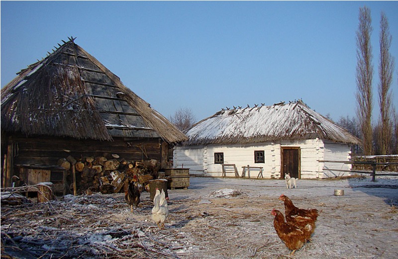 Фото Palko Sergej