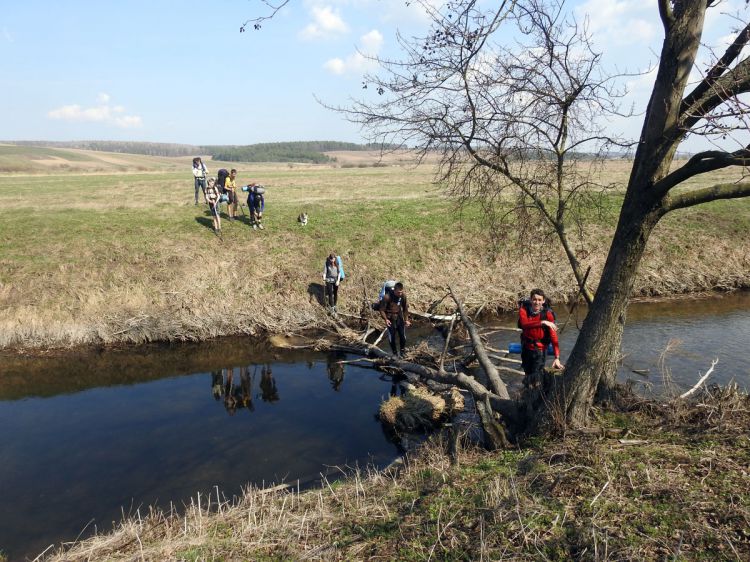 Фото Юрій Ткачук