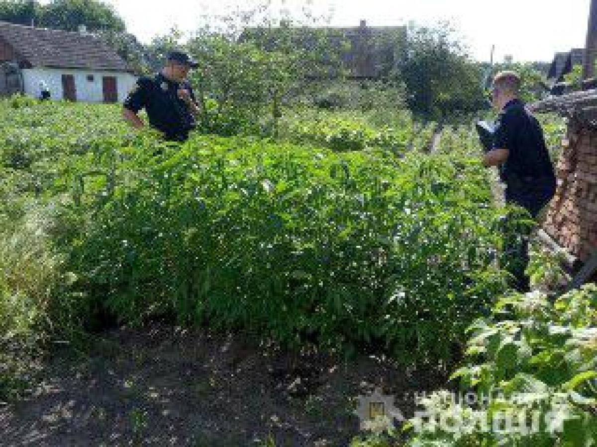 Джерело: Національна поліція Рівненської області