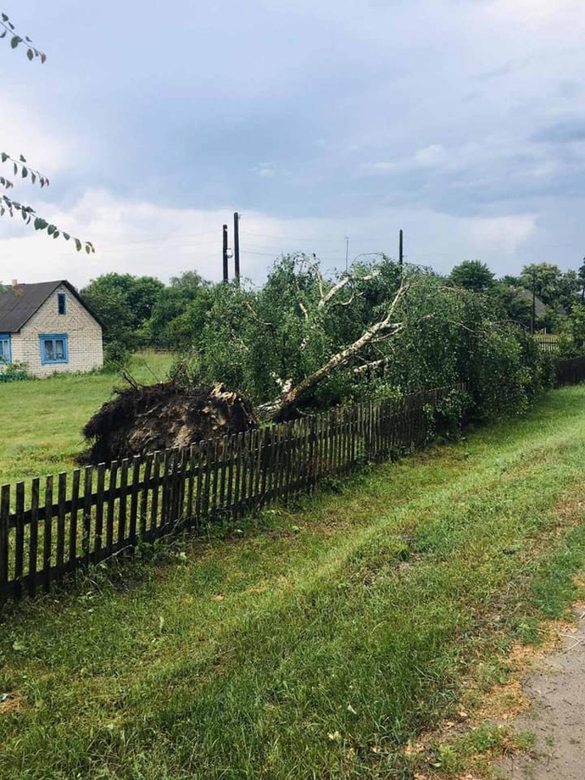 Джерело: Рівнеобленерго