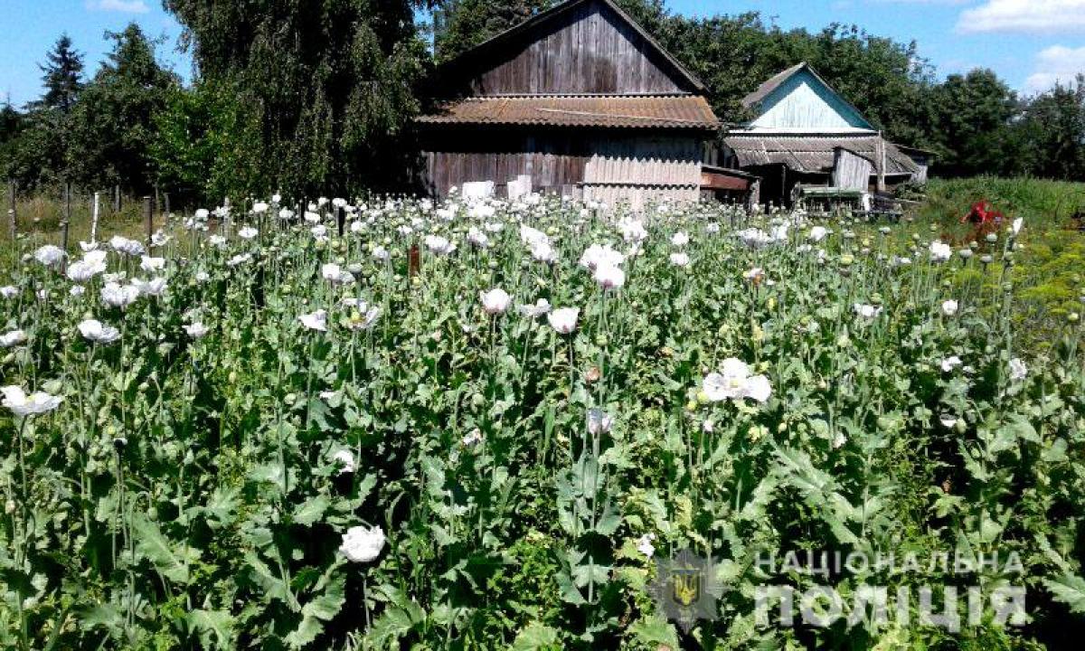 Джерело: Національна поліція