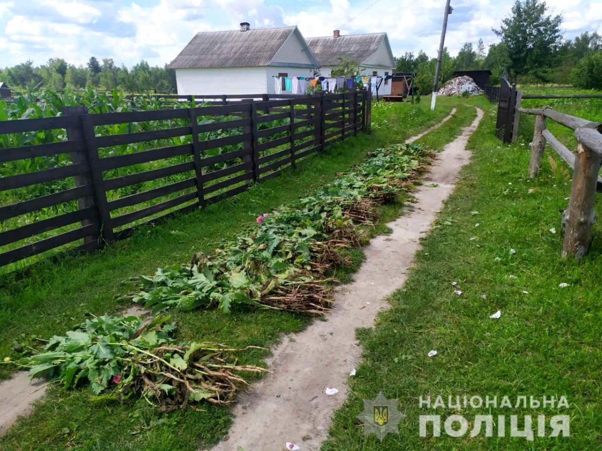 Джерело: Національна поліція