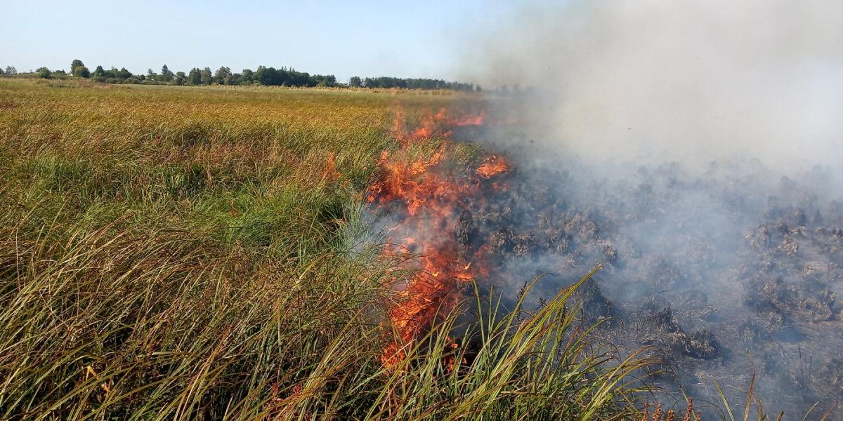 Джерело: ГУ ДСНС у Рівненській області