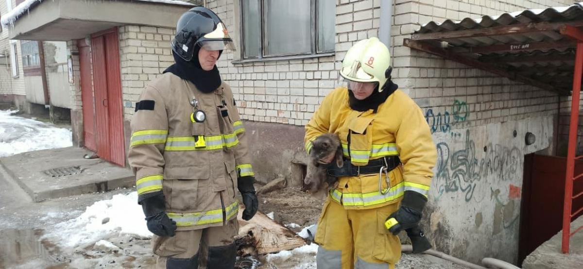 Джерело: ГУ ДСНС у Рівненській області