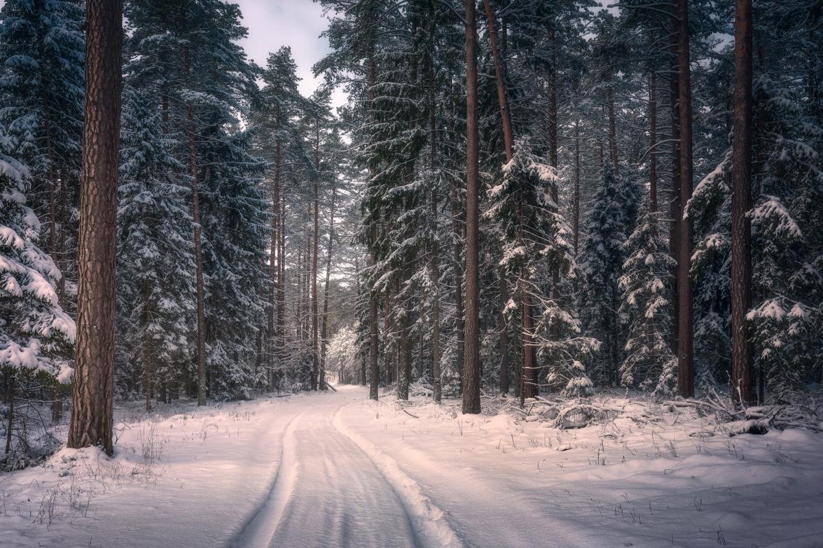 Фото ілюстративне