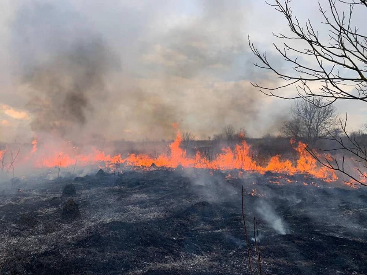 Джерело: ДСНС у Рівненській області