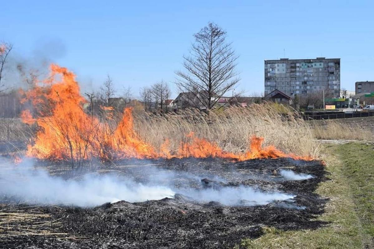 Джерело: ГУ ДСНС у Рівненській області