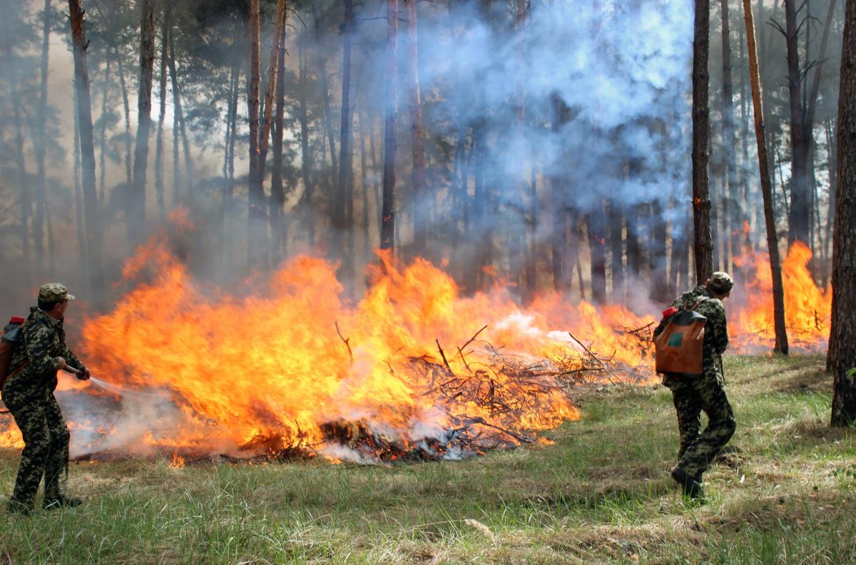 Фото ілюстративне