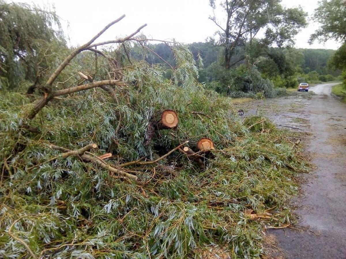 Джерело: Рівненська облдержадміністрація