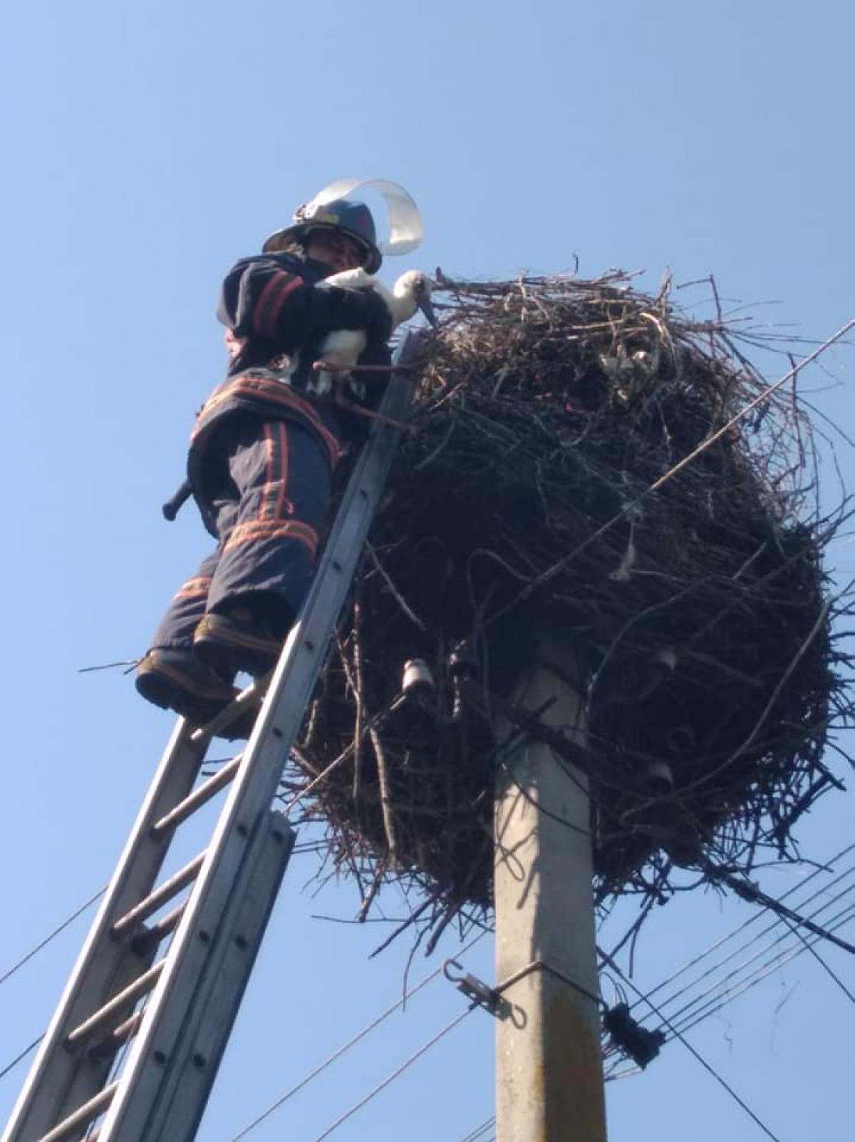 Джерело: ГУ ДСНС у Рівненській області