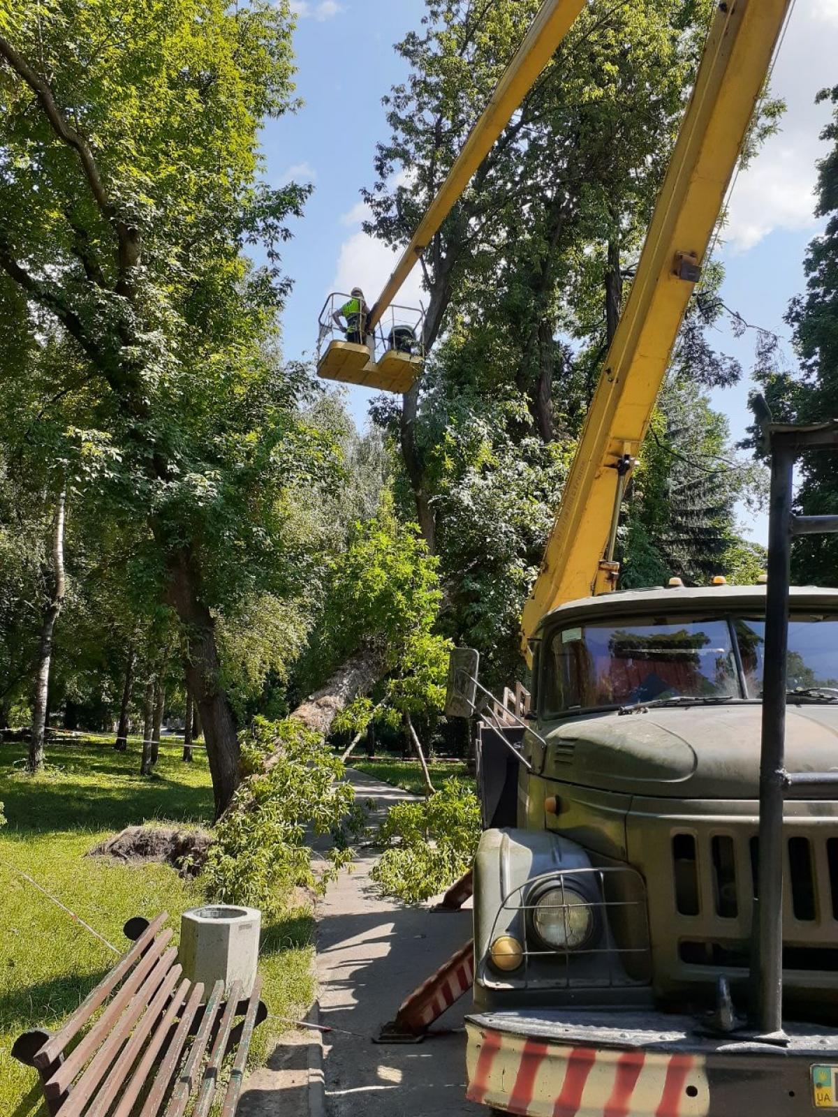 Джерело: Рівненська міська рада