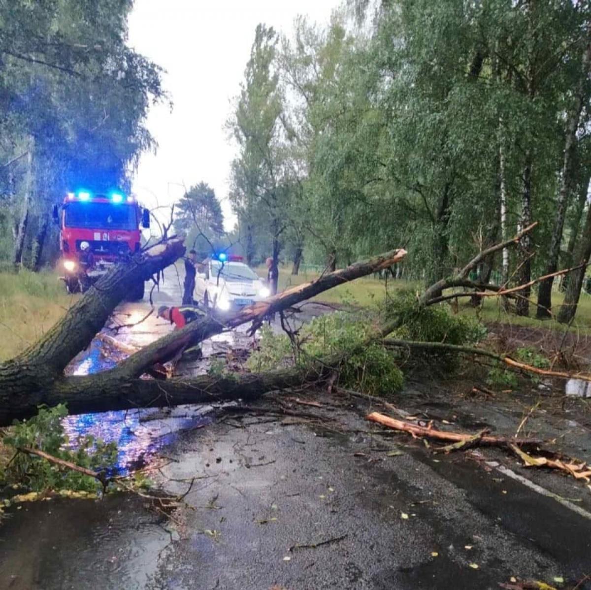 Джерело: ГУ ДСНС у Рівненській області