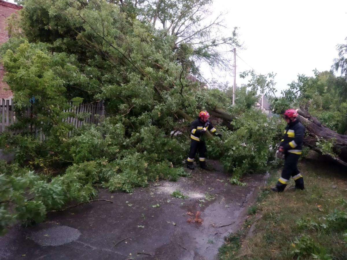 Джерело: ГУ ДСНС у Рівненській області