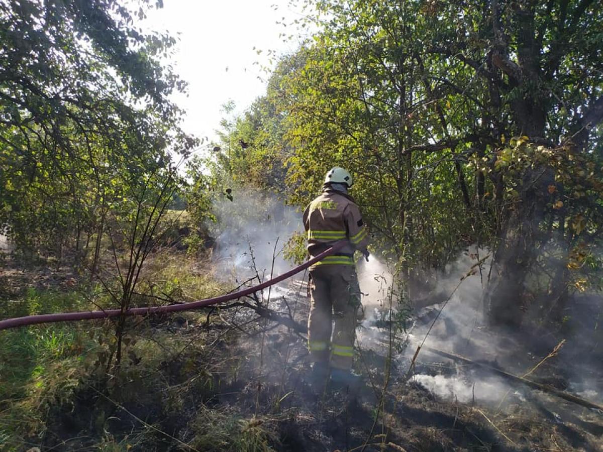 Джерело: ГУ ДСНС у Рівненській області