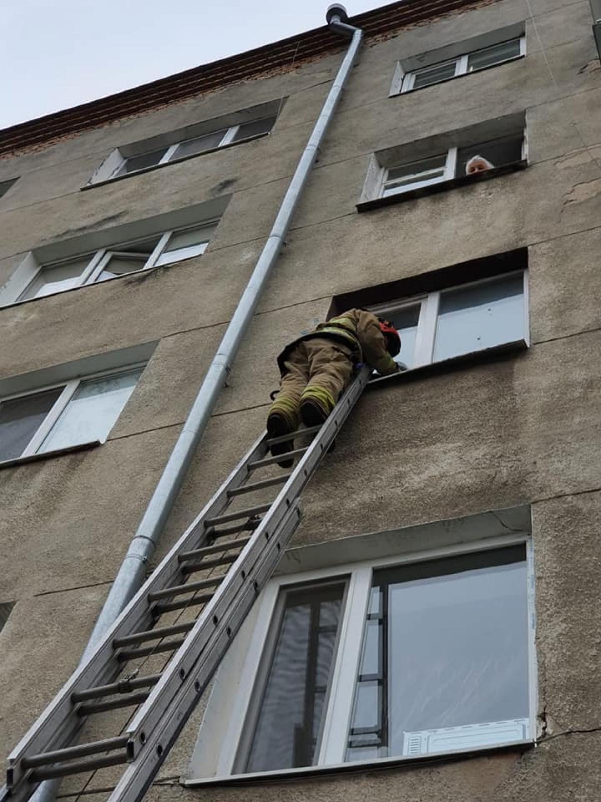 Джерело: ГУ ДСНС у Рівненській області