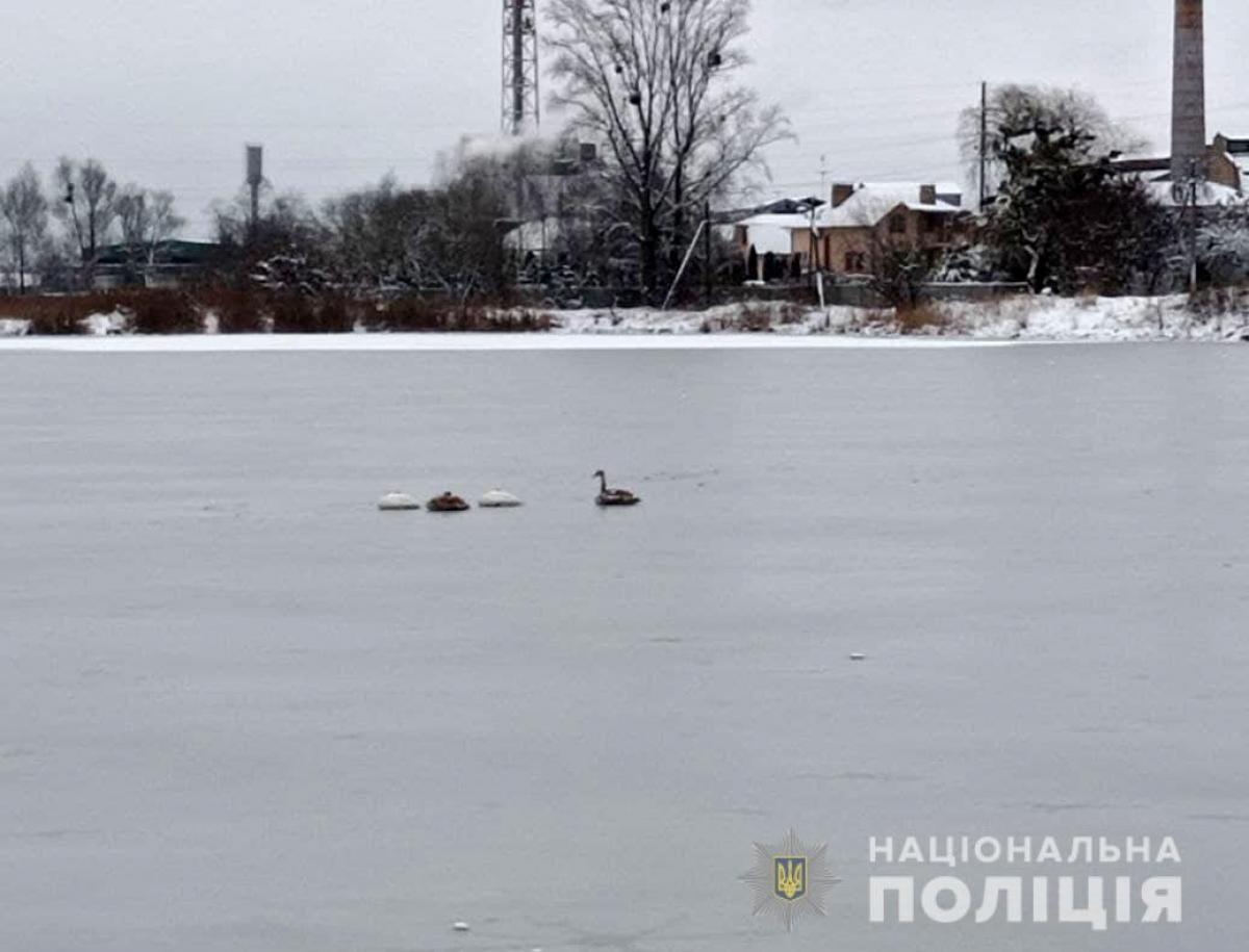 Джерело: Національна поліція Рівненської області