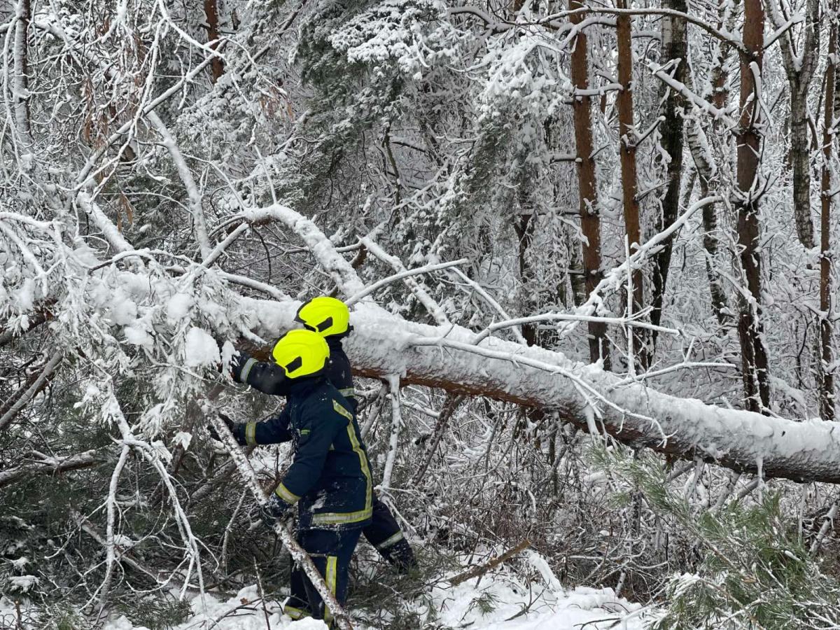 Джерело: ГУ ДСНС у Рівненській області