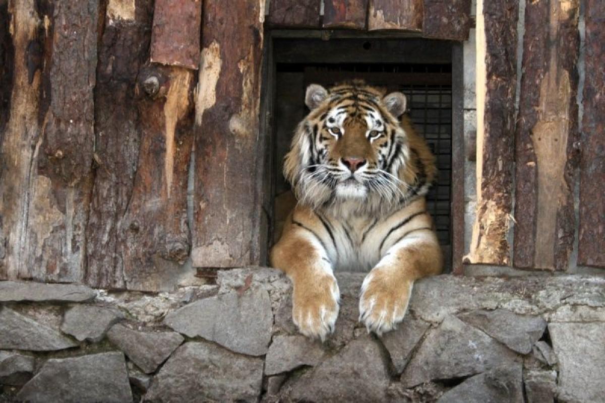 Фото: Рівненський зоопарк