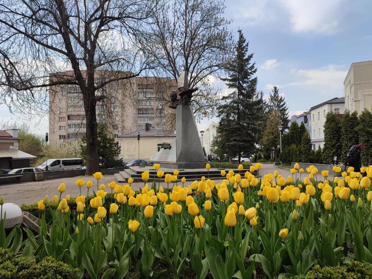 Фото: Олександр Третяк