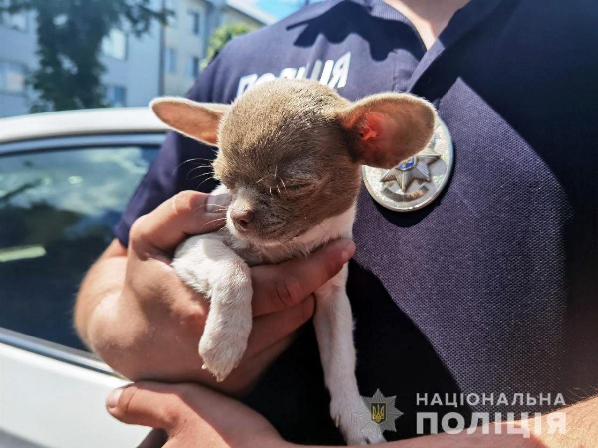 Джерело: Національна поліція Рівненської області