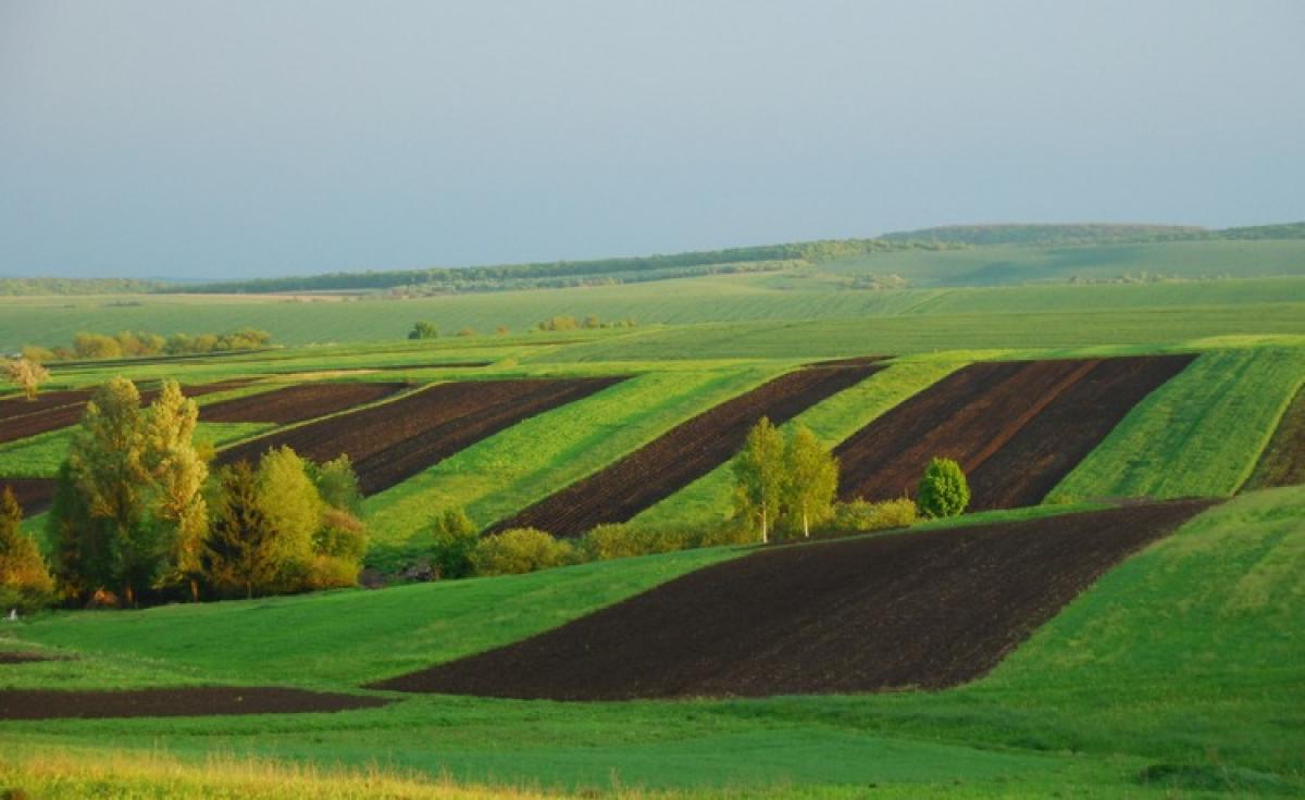 Фото: ілюстративне