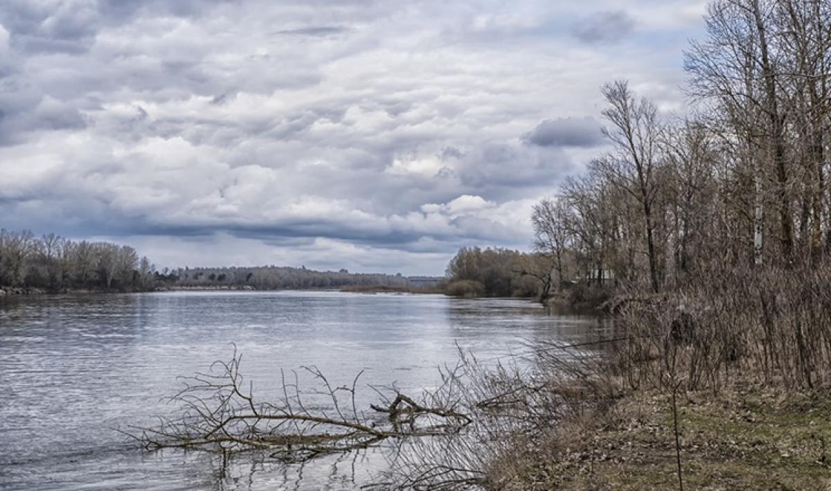 Фото ілюстративне